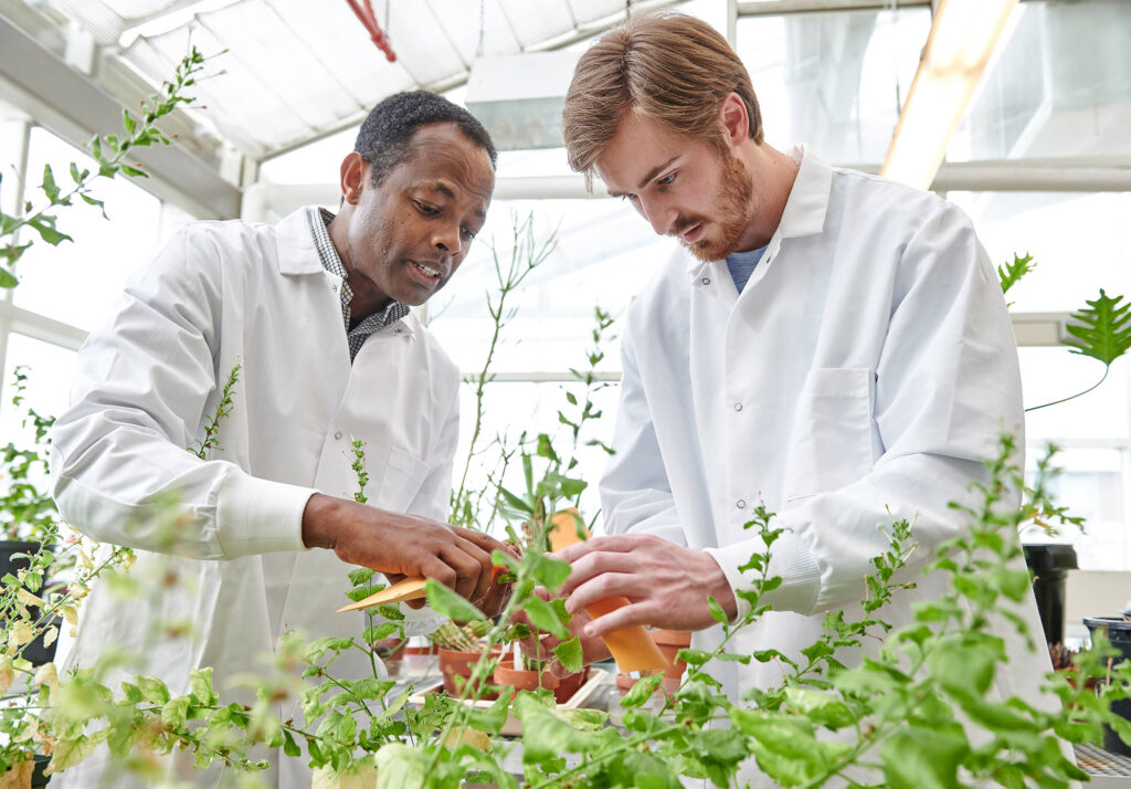 People in lab with plants